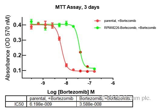 MTT Assay Kit (Cell Proliferation)(AB211091)
