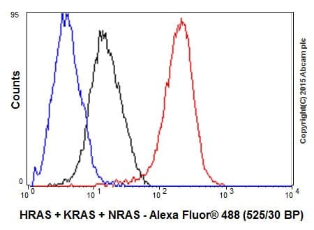 Anti-Ras antibody [EPR18713-13] - BSA and Azide free(AB238444)