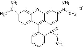 Tetramethylrhodamine, methyl ester (TMRM)(ab275547)