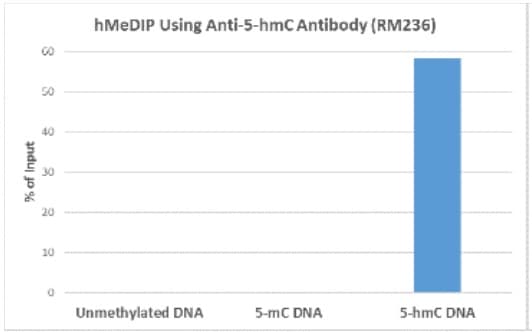 Anti-5-hydroxymethylcytosine (5-hmC) antibody [RM236](AB214728)