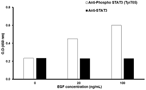 STAT3 (Tyr705) In-Cell ELISA Kit(AB126427)