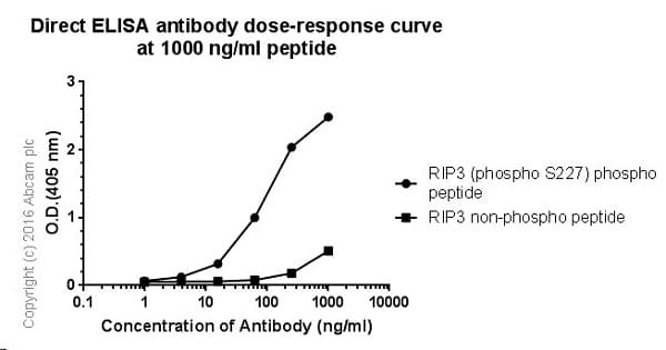 Rip3 Phospho S227 Antibody Epr9627 Bsa And Azide Free Ab240383  Elisa Img414646