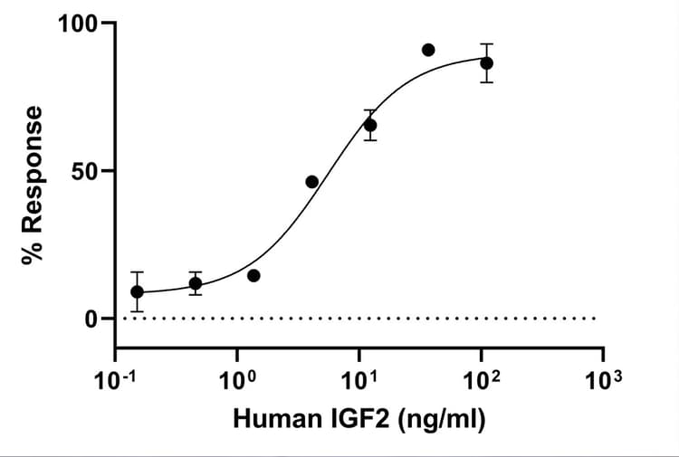 Recombinant Human IGF2 protein (Active)(AB283420)