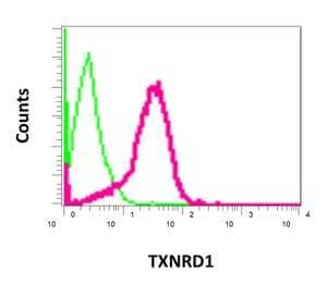 Txnrd1 Antibody Epr10205 Ab167411  Flow Cytometry Intracellular Img57935