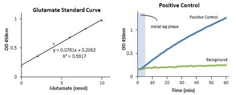 Aspartate Aminotransferase Activity Assay Kit(AB105135)