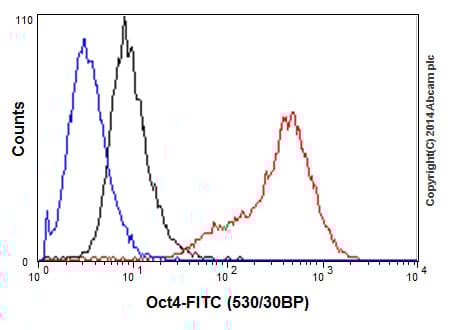 Anti-Oct4 antibody [EPR17980](AB200834)