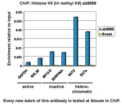 Histone H3 Tri Methyl K9 Antibody Chip Grade Ab8898 Chip Img414336