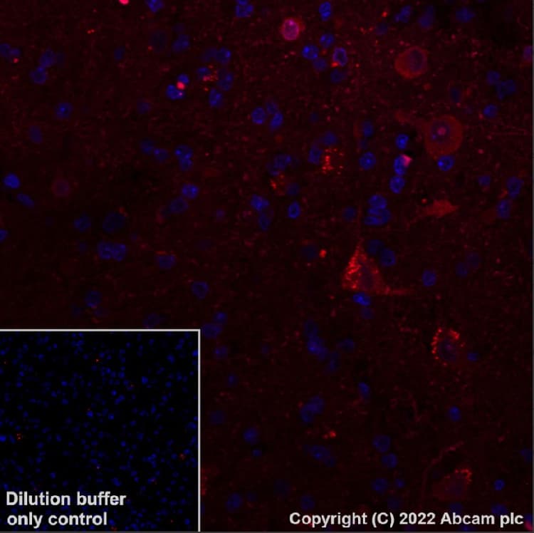 Antigen Retrieval Buffer (100X Tris-EDTA Buffer, pH 9.0)(AB93684)