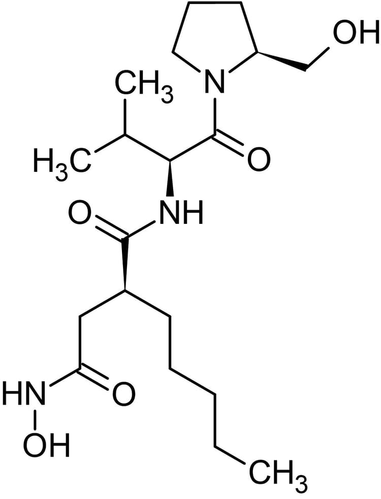 Actinonin, Matrix metalloprotease (MMP) inhibitor(AB141089)