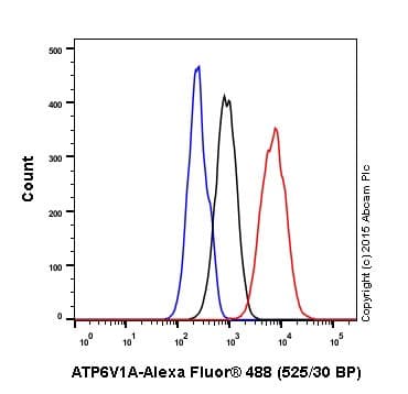 Anti-ATP6V1A antibody [EPR19270] - BSA and Azide free(AB251267)