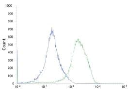 Anti-Met (c-Met) antibody [SP44] - C-terminal(AB227637)