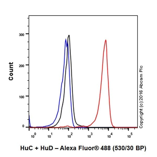 Anti-HuD + HuC antibody [EPR19098](AB184267)