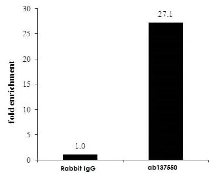 Anti-Nrf2 antibody(AB137550)