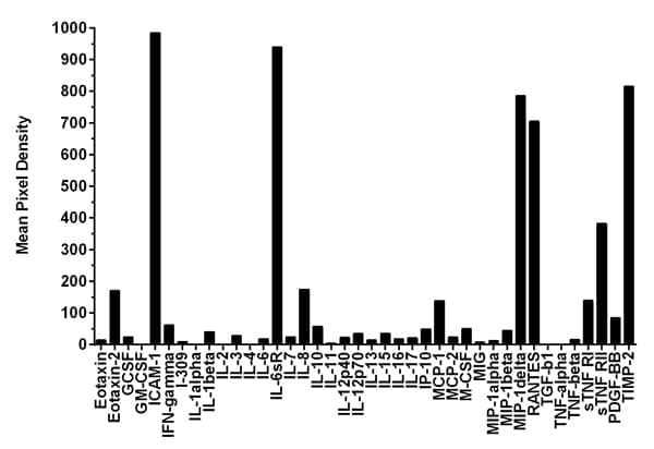 Human Inflammation Antibody Array Membrane 40 Targets Ab134003  Multiplex Protein Detection Img98708