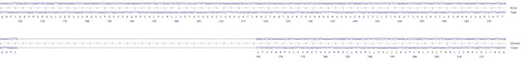 Human Igf2bp3 Knockout Hct116 Cell Line Ab289247  Next Generation Sequencing Img420170