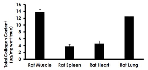 Total Collagen Assay Kit (Perchlorate-Free)(ab222942)