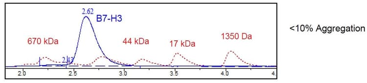 Recombinant Human CD276 protein (Tagged)(ab271420)