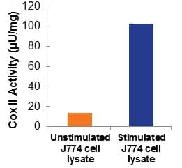 Cyclooxygenase (COX) Activity Assay Kit (Fluorometric)(AB204699)