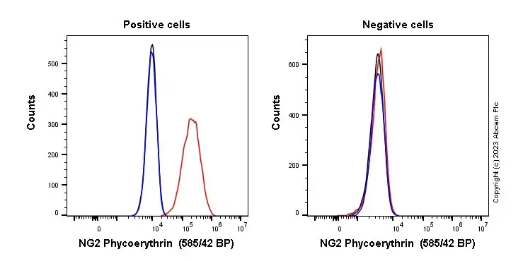 PE Rabbit IgG, monoclonal [EPR25A] - Isotype Control(AB209478)