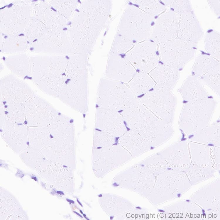 Goat Anti-Human IgG H&L (HRP)(AB6858)