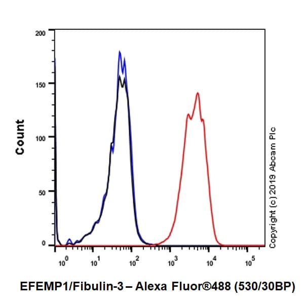 Anti-EFEMP1/Fibulin-3 antibody [EPR22855-4](AB256457)