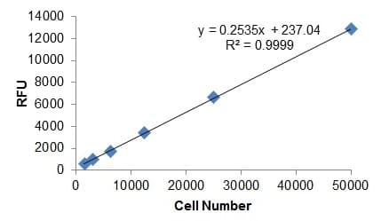Cell Invasion Assay (Basement Membrane), 96-well, 8 µm(AB235697)