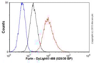 Anti-Furin antibody [MM0298-4G31](ab89558)