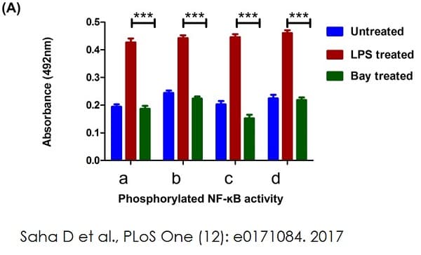 NFkB p65 Transcription Factor Assay Kit(AB133112)