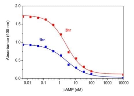 cAMP Assay Kit (Competitive ELISA)(AB234585)