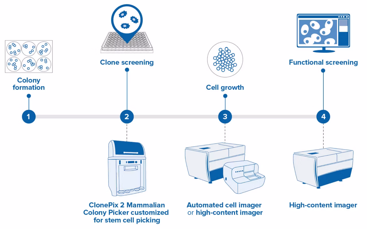 Molecular Devices Clonepix 2 Mammalian Colony Picker Enhanced For Stem Cell Applications