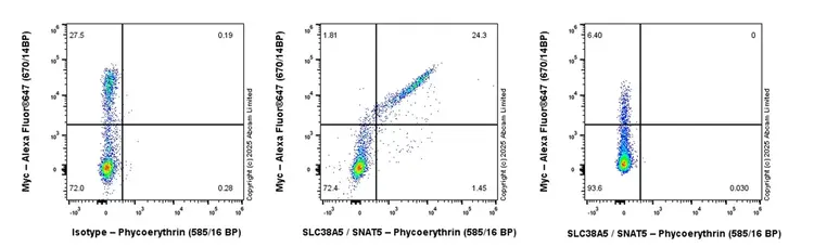 PE Rabbit IgG, monoclonal [EPR25A] - Isotype Control(AB209478)