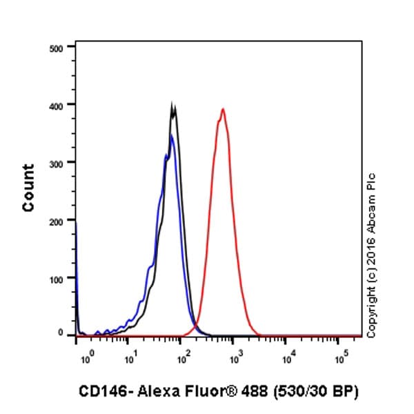 Anti-CD146 antibody [EPR3208](ab75769)