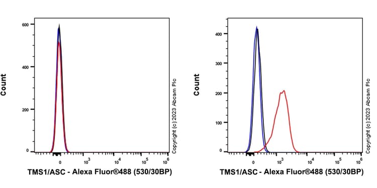 Anti-TMS1/ASC antibody [RM1049](AB309497)
