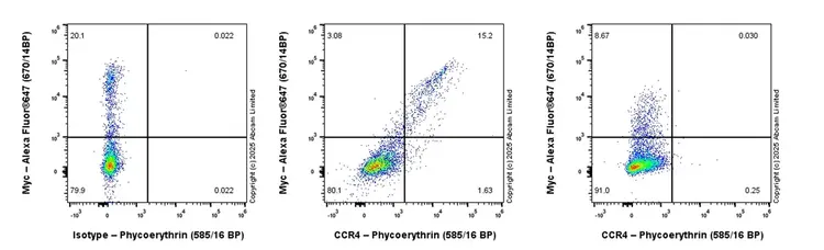 PE Rabbit IgG, monoclonal [EPR25A] - Isotype Control(AB209478)