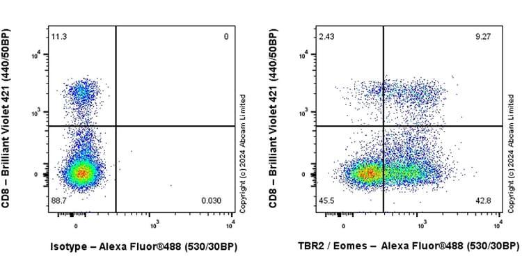 Anti-TBR2 / Eomes antibody [RM2055](AB319166)