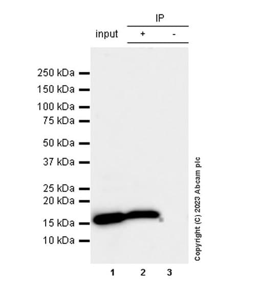 Mouse IgG1, kappa monoclonal [MOPC-21] - isotype control(AB18443)
