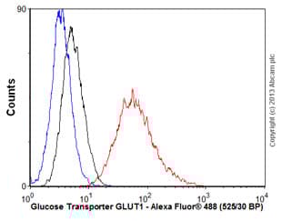 Anti-Glucose Transporter GLUT1 antibody [EPR3915] - BSA and Azide free(AB252403)