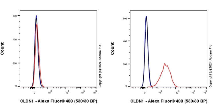 Anti-Claudin 1 antibody [RM1186](AB317709)