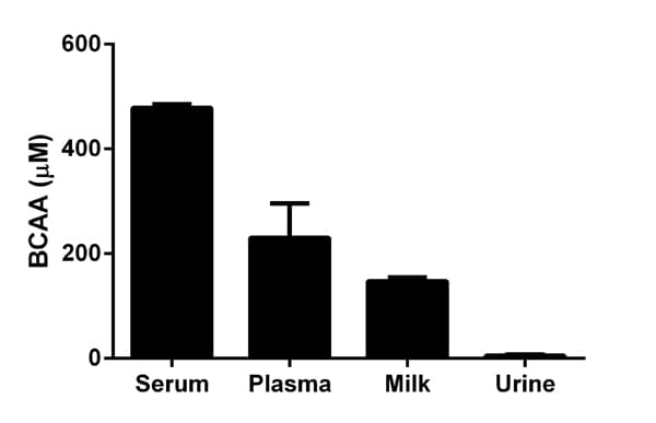 Branched Chain Amino Acid Assay Kit / BCAA Assay Kit(ab83374)