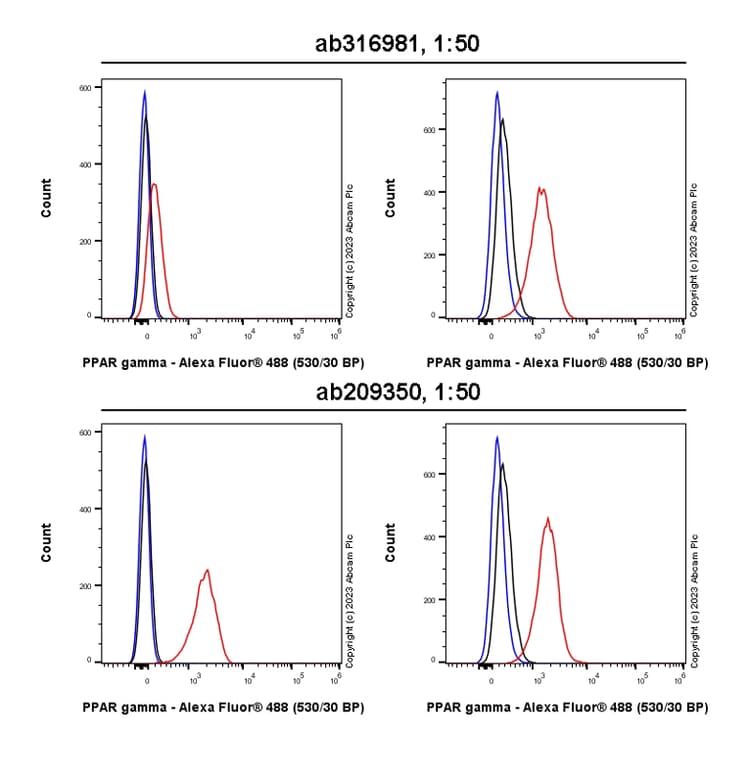 Anti-PPAR gamma antibody [RM1091](AB316981)
