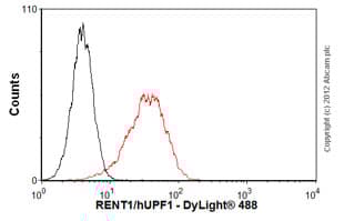 Anti-RENT1/hUPF1 antibody [EPR4681](AB109363)