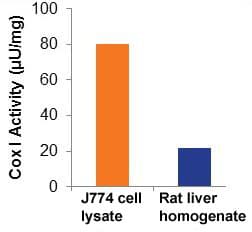 Cyclooxygenase (COX) Activity Assay Kit (Fluorometric)(AB204699)