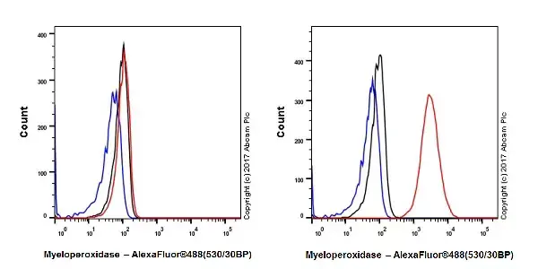 Anti-Myeloperoxidase antibody [EPR20257](AB208670)