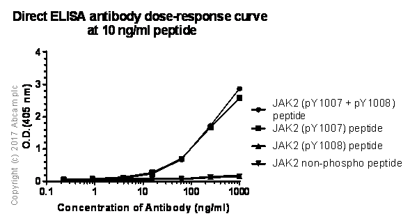 Anti-JAK2 (phospho Y1007 + Y1008) antibody [E132](AB32101)