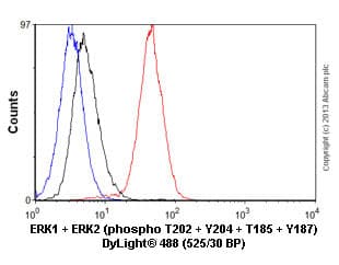 Anti-Erk1 (pT202/pY204) + Erk2 (pT185/pY187) antibody [E337] - BSA and Azide free(AB232017)