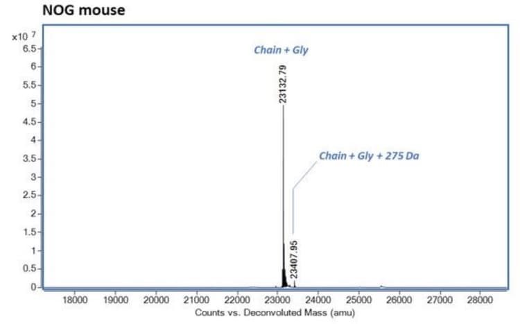 Recombinant mouse Noggin protein (Active)(AB281818)
