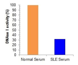 DNase I Assay Kit (Fluorometric)(AB234056)