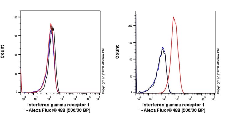 Anti-IFNGR1 antibody [EPR24127-89](AB280353)