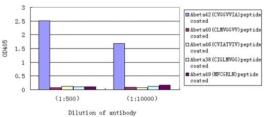 Anti-beta Amyloid 1-42 antibody [EPR9296](AB180956)