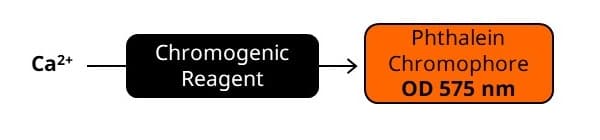 Calcium Assay Kit (Colorimetric)(AB102505)